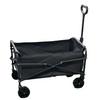 Popular Adjustable Camping Beach Buddy Folding Handcart