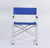 Cushion Lawn Folding Chair