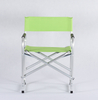 Cushion Lawn Folding Chair